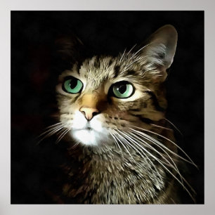 Gestreepte kat met groene ogen, geïsoleerd op zwar poster