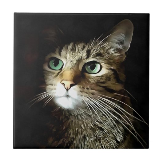 Gestreepte kat met groene ogen, geïsoleerd op zwar tegeltje (Voorkant)