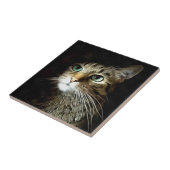 Gestreepte kat met groene ogen, geïsoleerd op zwar tegeltje (Zijkant)