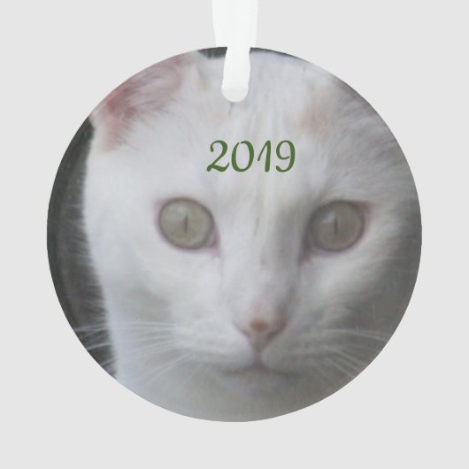 Gestreepte Kat Ornament (achterkant)