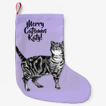 Gestreepte Kat Vrolijke Kattenmuziek Paarse Kerstk