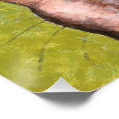 Gestreepte katten praten met vogels perfect poster (Hoek)