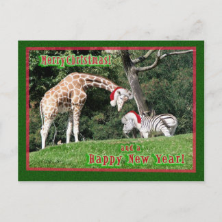 Gestreepte Kerstmis van de Giraffe Feestdagenkaart