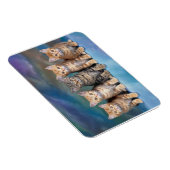 Gestreepte Kittens in een Rij Magneet (Rechterzijde)