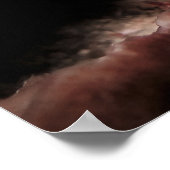 Gestreepte koraalgarnaal poster (Hoek)