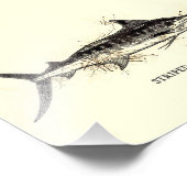 Gestreepte marlijn Kajikia audax  Tekenkunst Foto Afdruk (Hoek)