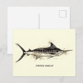 Gestreepte Marlin Illustratie Schets Artwork Briefkaart (Voorkant / Achterkant)