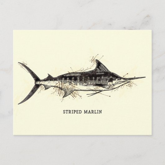 Gestreepte Marlin Illustratie Schets Artwork Briefkaart (Voorkant)