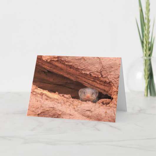 Gestreepte mongoes, Tanzania Feestdagen Kaart (Voorkant)