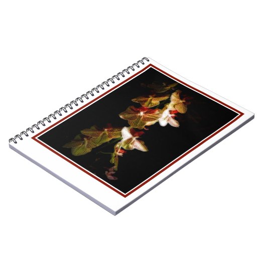 Gestreepte orchideeën notitieboek (Linkerzijde)