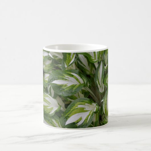 Gestreepte plant koffiemok (Center)