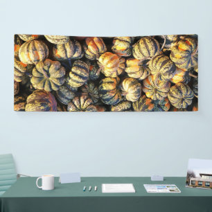 Gestreepte Pompoenen Cluster Spandoek