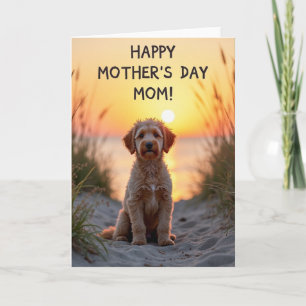 Gestreepte Puppy Zonsondergang Kaart