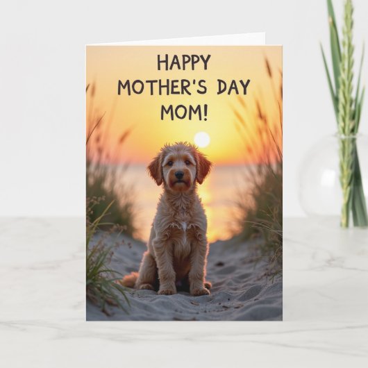 Gestreepte Puppy Zonsondergang Kaart (Voorkant)