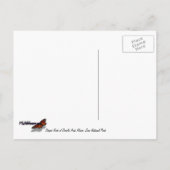 Gestreepte Rock of Double Arch Alcove I van Zion Briefkaart (Achterkant)