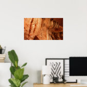 Gestreepte Rock of Double Arch Alcove I van Zion Poster (Thuiskantoor)