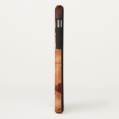 Gestreepte rots van Double Arch Alcove I vanuit Zi Case-Mate iPhone Case (Achterkant/links)