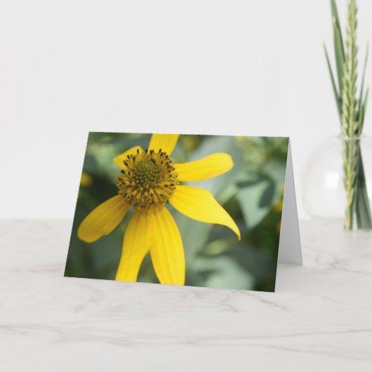 Gestreepte rudbeckia (Rudbeckia laciniata) Kaart (Voorkant)