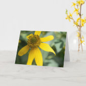 Gestreepte rudbeckia (Rudbeckia laciniata) Kaart (Gele Bloem)