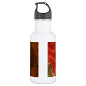 Gestreepte sensatie Tijger Barb Fish Art Print Waterfles (Achterkant)