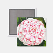 Gestreepte snoeprietcamellia magneet (Voorkant / Achterkant)