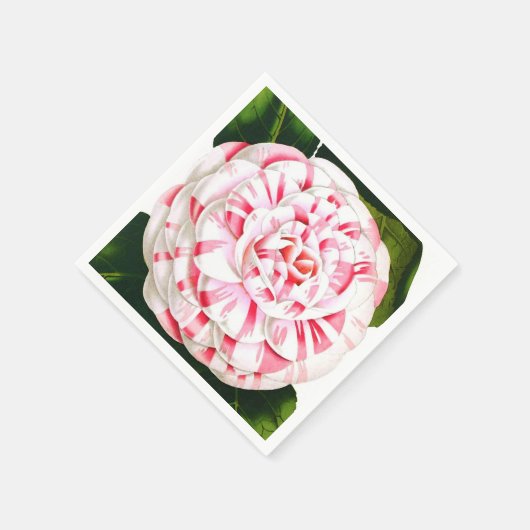 Gestreepte snoeprietcamellia servetten (Hoek)