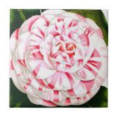 Gestreepte snoeprietcamellia tegeltje (Voorkant)