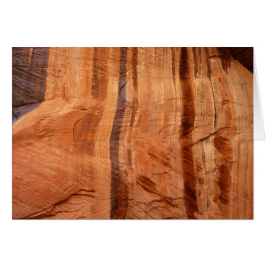 Gestreepte steen van Double Arch Alcove II bij Zio (Voorkant Horizontaal)