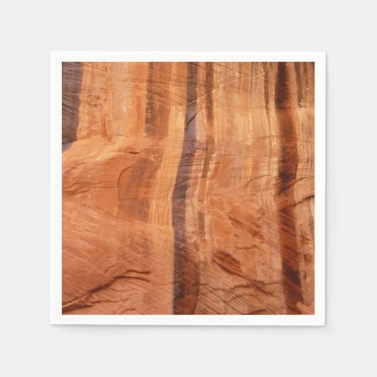 Gestreepte steen van Double Arch Alcove II bij Zio Servetten (Voorkant)