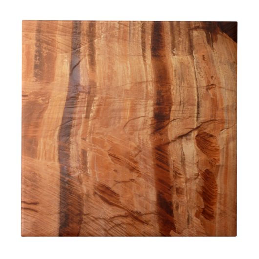 Gestreepte steen van Double Arch Alcove II bij Zio Tegeltje (Voorkant)