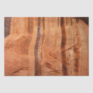 Gestreepte steen van Double Arch Alcove II bij Zio Tissuepapier