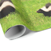 gestreepte stinkdier cadeaupapier (Rol Hoek)
