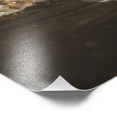 Gestreepte stinkdier-, mefitis-mephitis foto afdruk (Hoek)