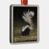 Gestreepte stinkdier-, mefitis-mephitis metalen ornament (Rechts)