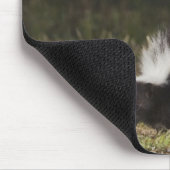 Gestreepte stinkdier-, mefitis-mephitis muismat (Hoek)