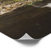 Gestreepte stinkdier-, mefitis-mephitis poster (Hoek)