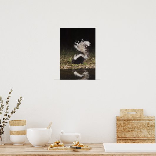 Gestreepte stinkdier-, mefitis-mephitis poster (Keuken)