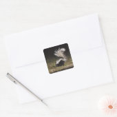 Gestreepte stinkdier-, mefitis-mephitis vierkante sticker (Envelop)