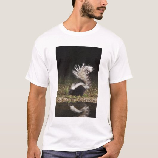 Gestreepte stinkdier, Mephitis mephitis T-shirt (Voorkant)