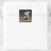 Gestreepte Stinkdier, Mephitis mephitis Vierkante Sticker (Tas)