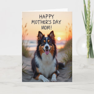 Gestreepte Strandhond Lach Kaart