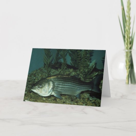 Gestreepte tas kaart (Voorkant)