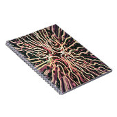 Gestreepte textuur notitieboek (Rechterzijde)