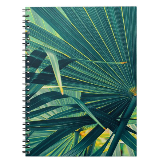 Gestreepte textuur van palmblad notitieboek (Voorkant)