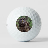 Gestreepte uil golfballen (Voorkant)