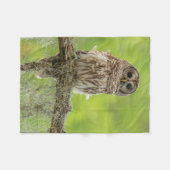 Gestreepte Uil Op Boomtak Fleece Deken (Voorkant (Horizontaal))