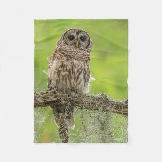 Gestreepte Uil Op Boomtak Fleece Deken (Voorkant)