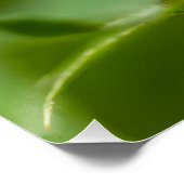 gestreepte vlinder perfect poster (Hoek)