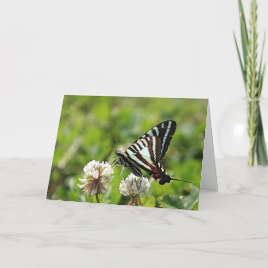 Gestreepte Vlinder Swallowtail Kaart (Voorkant)