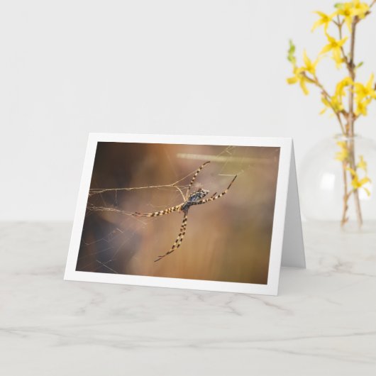 Gestreepte Wielwebspin Kaart (Gele Bloem)